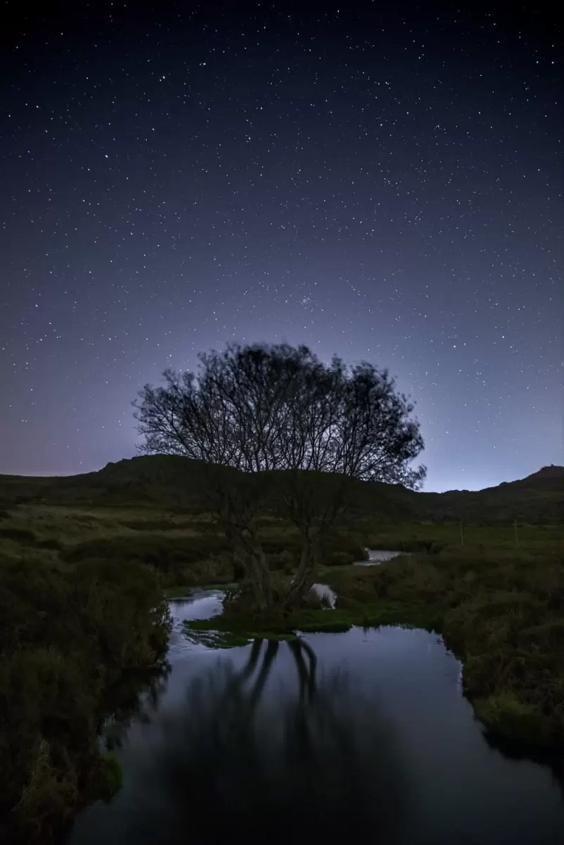 received_990309195213064